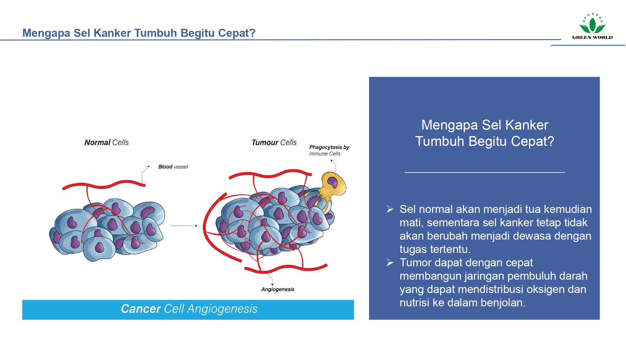 Education content image